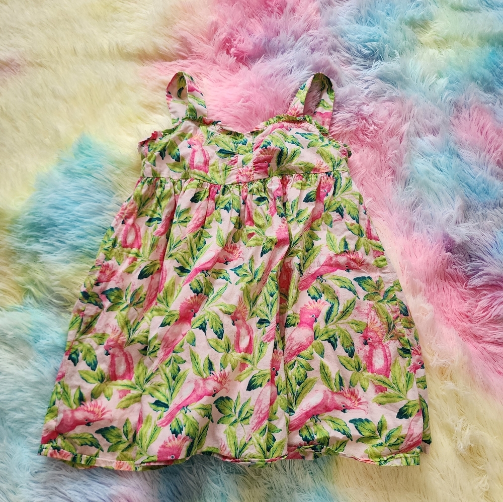 Janie and Jack Pink and Green Floral Kids Dress